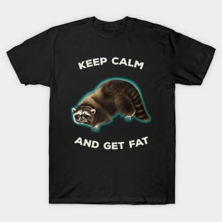 Vintage Raccoon Animal Meme Keep Calm T-Shirt